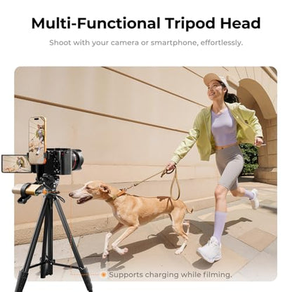 K&F CONCEPT Lightweight Camera Tripod for Phone, 16.7"(42.5cm) Folded with Quick Release Plate, Phone Holder & Strap, Max 62.2"(158cm) Height, 3kg Load, Camera Stand for Photography & DSLR/iPhone