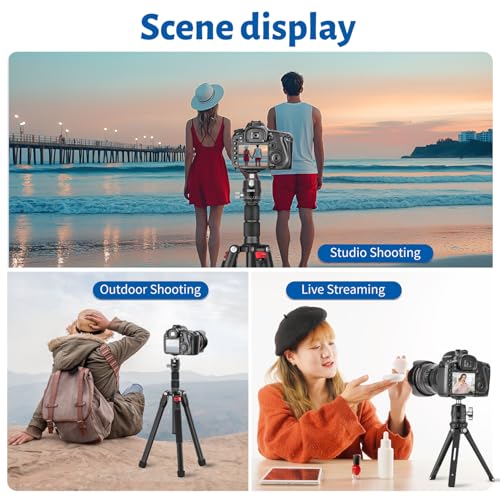 CAVIX 25mm Mini Ball Head 360° Panoramic Tripod Head Small Ball Head with 1/4" Quick Release Plate, for DSLR/Mirrorless Camera, Compatible with Tripods, Monopods and Sliders, Max Load 11lb/5kg - color: HB03A