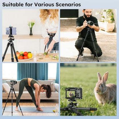 SIRUI 31.5" Compact Carbon Fiber Small Desktop Tripod with Low Profile Ball Head, Portable Lightweight Backpack Camera Tripod with Spikes for Travel Vlogging Tabletop, Macro Photography, AM-224S+G0 - style: AM-224S+G0
