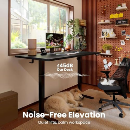 ErGear Height Adjustable Electric Standing Desk, 63 x 28 Inches Sit Stand up Desk, Memory Computer Home Office Desk, Carbon Fiber Black - color: Carbon Fiber Black, size: 63.0 X 27.6 Inches