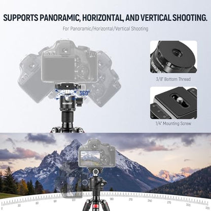 NEEWER Portable Travel Mini Tabletop Tripod, Aluminum Alloy 20''/ 50cm Desktop Desk Tripod with 360 Degree Ball Head, 1/4" Quick Shoe Plate for DSLR Camera Video Camcorder, Max Load 11 lb/5 kg