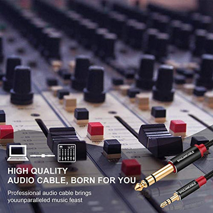 SHULIANCABLE 3.5mm to 6.35mm Stereo Audio Cable, 6.35 1/4" Male to 3.5 1/8" Male TRS Stereo Audio Cable for Guitar,iPod, Laptop, Home Theater Devices,Smartphones,and Amplifiers (10Ft/3M) - size: 10 ft