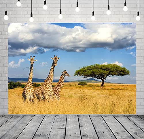 Fabric 5x3ft Kilimanjaro Giraffe Backdrop Africa Safari Background Jungle Giraffe Birthday African Themed Party Decorations Banner Photo Booth Props Zoo Wildlife Animals Backdrops - size: 5x3FT