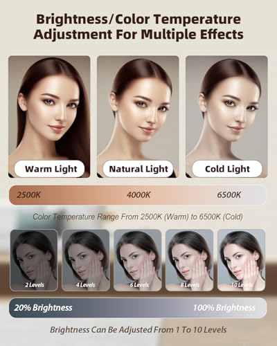 91 LED Portable Charger Selfie Light Video Conference Lighting | Clip & Camera Tripod Adapter, Rechargeable 2000mAh, CRI 96+, 4 Light Modes, For Phone iPhone Webcam Laptop Makeup - color: Glossy Black