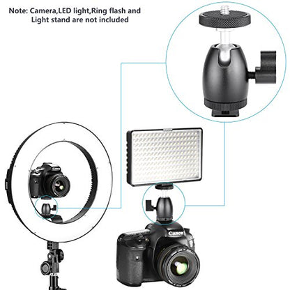 Neewer Mini Tripod Ball Head Mount, 1/4 inch Screw with Phone holder, Lock and Hot Shoe Mount Adapter Compatible with Compact DSLR Camera, LED Light,Ring Light,Load Up to 4.4 pounds/2 kilograms