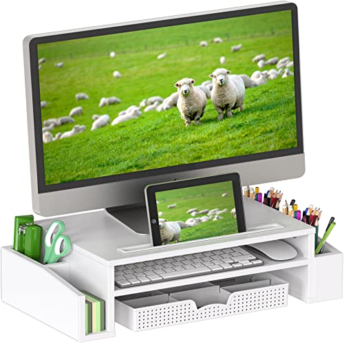 Simple Houseware Desk Monitor Stand Riser with Adjustable Organizer Tray, White - color: White