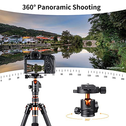 K&F Concept 25mm Metal Tripod Ball Head 360 Degree Rotating Panoramic with 1/4 inch Quick Release Plate Bubble Level for Tripod Monopod Slider Camera Camcorder up to 18 pounds/8 kilograms BH-25 - size: 8 kg Capacity