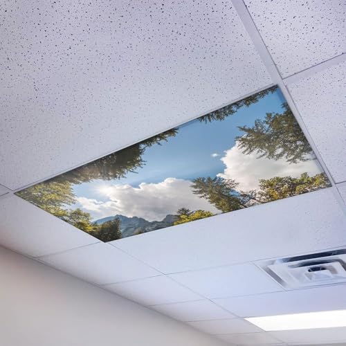Magnetic Fluorescent Light Cover for Ceiling Lights Classroom 2x4 - High Resolution Magnetic Office Light Filter (Pack of 1) - Improve Focus, Eliminate Headaches & Eyestrain - Tree - color: Tree Mountain Sky