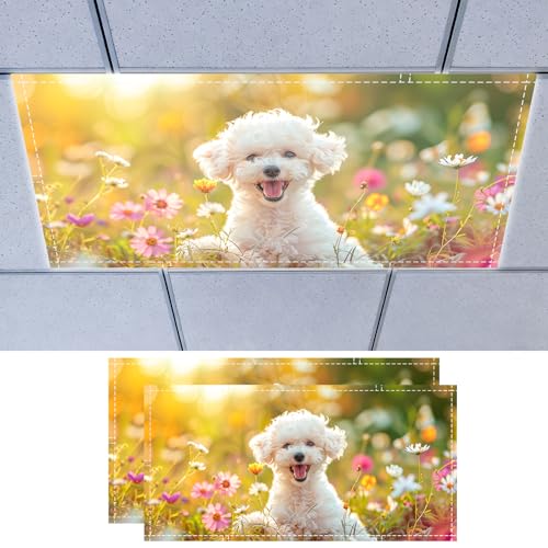 Nuxovilar Magnetic Fluorescent Light Covers 24 * 48 inch Polyester Fabric 2pcs Ceiling Diffuser Panels Glare Reduction Filters Classroom Office Home (Cute White Puppy Flower Field Sunny Pattern) - color: CC01570-2pcs