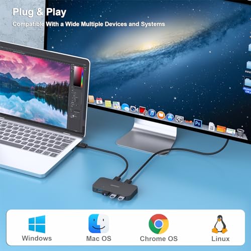 BENFEI USB 3.0 Switch, USB Switch 2 Computers Share 4 USB for PC, Mouse, Keyboard, Printer, Scanner, USB KVM Switch Selector Compatible with Windows, Mac, Linux - style: Switch USBA*4
