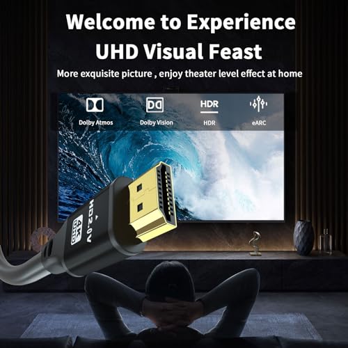 100FT High Speed HDMI Cable 4K@60Hz, Gold-Plated Connectors Black Aluminum Alloy Housing, Compatible with TV, Projector, Home Theater, Wall & Ceiling Mount, Living Room AV Setup - size: 100FT