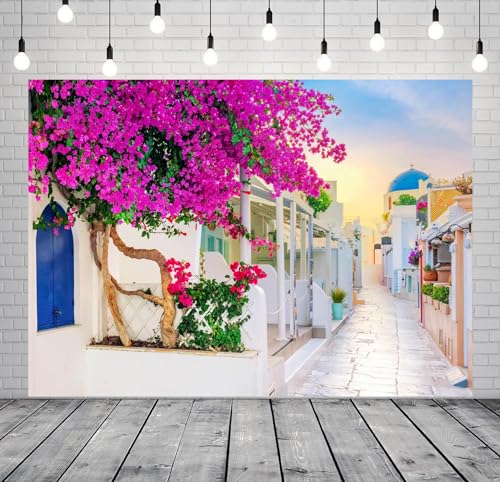 10x6.5ft Fabric Greece Backdrop for Photography Greek Island Whitewashed Blooming Flowers Alley Oia Street Background for Europe Themed Party Decor Birthday Wedding Photo Studio Props - size: 10x6.5FT
