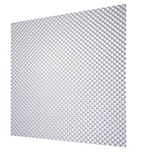 Fluorolite Plastics Clear Acrylic Prismatic Fluorescent and LED lighting Panels 5 Pack 23.75"x23.75" | 0.100" Thick Fluorescent Light Covers for Ceiling Lights Classroom light covers for Drop Ceiling - size: 23.75"x23.75"