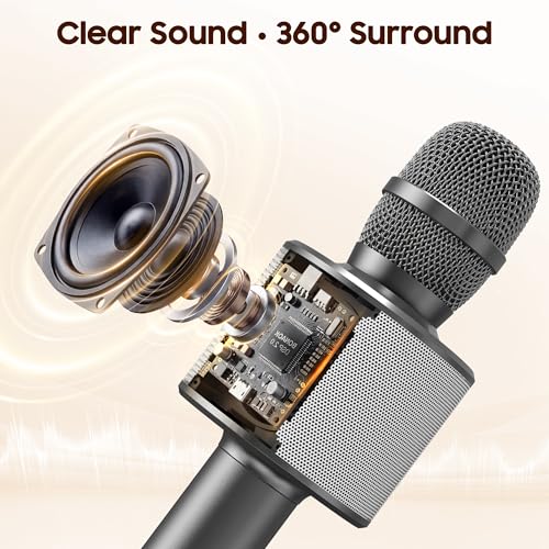 BONAOK Wireless Bluetooth Karaoke Microphone,3-in-1 Portable Handheld Karaoke Mic Speaker Machine Home Party Birthday for All Smartphones Q37 (Space Gray) - color: Space Gray