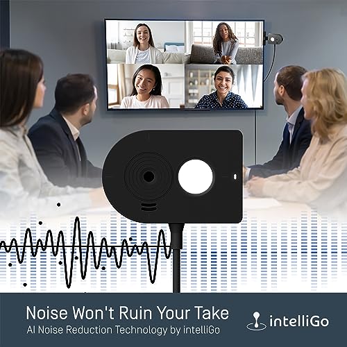 IPEVO MP-8M Multi-Purpose 4K USB 1080P Webcam, Microphone with AI Noise Reduction, Flexible mounting Options, for Video Calls, Gaming, Streaming, Conferencing, Hybrid Work, Streaming, Vlogging