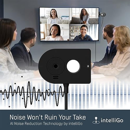 IPEVO MP-8M Multi-Purpose 4K USB 1080P Webcam, Microphone with AI Noise Reduction, Flexible mounting Options, for Video Calls, Gaming, Streaming, Conferencing, Hybrid Work, Streaming, Vlogging