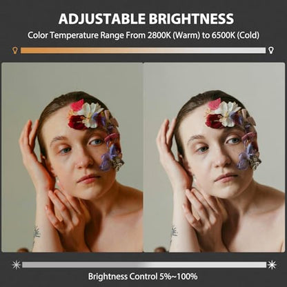 60W COB LED Video Light Handheld Portable with 8000 mAh Battery Dual-Color Photography Lighting Spotlight for Studio, Streaming, Phone Video, 2800K-6500K, 8 Lighting Effects, CRI ≥95