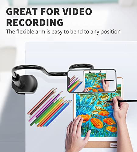 Magnetic Gooseneck Phone Holder Mount for iPhone 17/16/15/14/13/12 - Magnetic Stand Tabletop Clamp 360°Rotation Adjustable for Office/Home Compatible with iPhone 17 16 15 14 13 12 Mini Plus Pro Max - style: Mount + Black