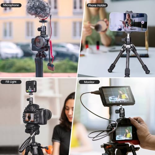 ARTCISE Mini Metal Ball Head (2 Pack) with 1/4" Screw and Removable Hot Shoe Mount, 360 Degree Rotatable Aluminum Tripod Head，Compatible with Cameras, Smartphone/iPad Mounts, Maximum Load 2kg/4.4 lbs