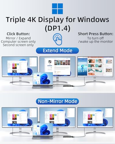 LIONWEI USB C Docking Station Dual Monitor 13 in 1 USB C Hub, Triple Display, 8 USB C/A Ports, Ethernet, Audio, Laptop Dock for MacBook,Dell,HP,Lenovo,Surface - color: 13-in-1 Black