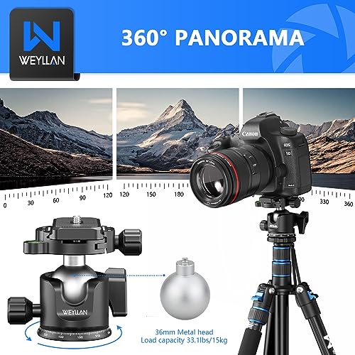 WEYLLAN Low Profile Ball Head - 36mm Metal Panoramic Camera Mount With Arca 1/4'' Quick Release Plate for Tripod Monopod - Max Load 33lbs/15kg