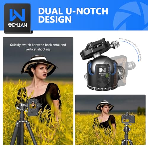 Low Profile Ball Head 52mm Tripod Head WEYLLAN DH52 Camera Head Mount, CNC Heavy Duty Ball Head with Two 1/4" Quick Release Plates, Panoramic Ballhead for Tripod, Monopod, DSLR, Max Load 66lbs /30kg - size: 52mm