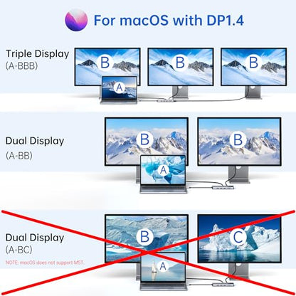 LIONWEI Laptop Docking Station 13 in 1 - Dual HDMI+DisplayPort+10Gbps, 6 USB C/A, 100W PD, Ethernet, SD/TF, Audio, USB C Hub for MacBook/Dell/HP/Surface - color: 13 IN 1(2 HDMI+DisplayPort)