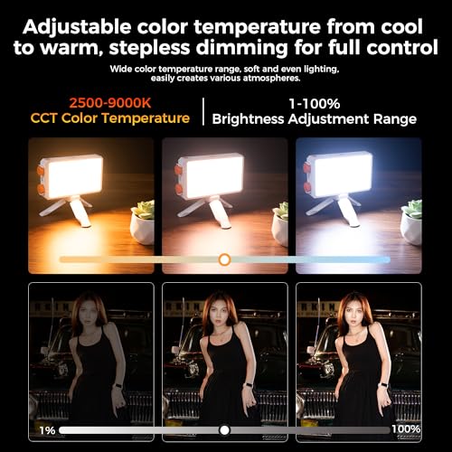 Leekai P40 40W Portable LED Video Light, 6400mAh Bi-Color 120 Beads Rechargeable Camera Light with Soft Light Cover, 2500K-9000K TLCI 95+ CRI>95 Selfie Light for Vlog Filming TikTok Live & Photography - color: Black