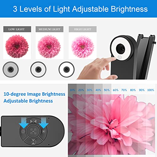 4K USB Document Camera for Teacher, 8MP Webcam & Visualiser for A3 Size with Dual Microphones, 3-Level LED Light, Image Invert, Foldable for Live Demo, Work with Windows, macOS and Chrome OS