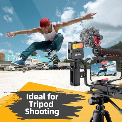 Zeadio All-in one Smartphone Camera Stabilizer Kit, Portable Handheld Video Rig with Aluminum Smarphone Cage Rig, RGB Video Light and Microphone for All Camera DSLR Smartphones etc - style: Pro Kit