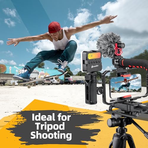 Zeadio Camera Handheld Stabilizer with Aluminum Smartphone Video Cage Rig, Triple Cold-Shoe Handle Grip, Compatible with All Camera Action Camera DSLR Smartphones - style: Standard