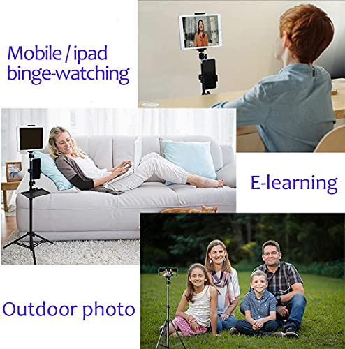 Tripod Stand, Mini Projector Stand,Lightweight Portable Projector Photography Stand Camera Tripod Adjustable Height 20" to 61" Floor Stand Holder, inculded 360° Rotatable Head Ball (Withstand 3pound) - size: 20-60in