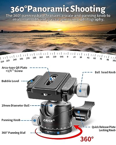 Low Profile Ball Head, CAVIX H-29S Camera Tripod Head Metal Ball Head with Arca Swiss Quick Release Plate Bubble Level Load Capacity 22 Lbs/10kg… - size: Ball Dia. 29mm