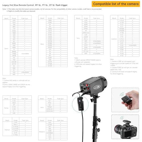 Godox Studio Flash Light Kit for Photography, Strobe Softbox Lighting Kit, 2x180W Daylight Compact Monolight with Flash Trigger, Softbox, Light Stands, Reflector Storage Bag, Umbrella, AC 110V Powered