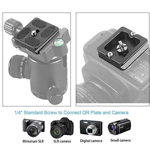 Regetek Aluminum PU-40 Quick Release Plate with 1/4" Screw, Universal Slide-In 40mm*38mm QR Plate for Manfrotto Arca Swiss Benro Acratech Kirk Wimberley Gitzo RRS MARKINS SUNWAYFOTO Kangrinpoche SIRUI