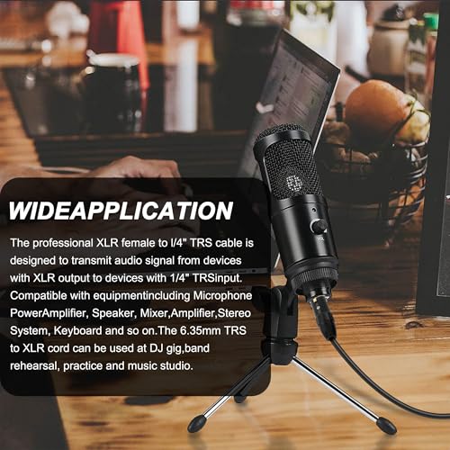 XMSJSIY 1/4" 6.35mm TRS to Dual XLR Y Splitter Stereo Audio Cable 1/4 Inch TRS Male Plug to 2 XLR Female Microphone Patch Adapter Cable Cord for Speaker Mic Guitar Mixer AMP - 0.5M/1.6FT
