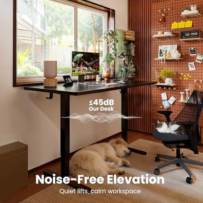 ErGear Height Adjustable Electric Standing Desk, 40 x 24 Inches Sit Stand up Desk, Memory Computer Home Office Desk, Black - color: Black, size: 39.4 X 23.6 Inches
