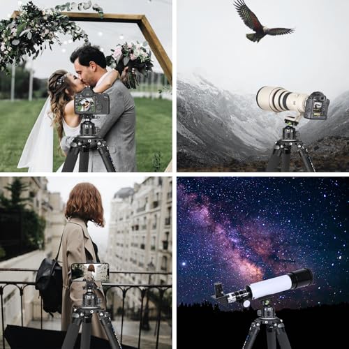 Low Profile Ball Head 52mm Tripod Head WEYLLAN DH52 Camera Head Mount, CNC Heavy Duty Ball Head with Two 1/4" Quick Release Plates, Panoramic Ballhead for Tripod, Monopod, DSLR, Max Load 66lbs /30kg - size: 52mm