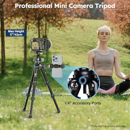 SIRUI Mini Tripod with 360° Panoramic Ball Head, Tabletop Travel Tripod for Camera, Quick Release System, Max Load 33lbs/15KG, Max Height 16.7”, AM-203+KS-5 (AM-203+KS-5) - size: AM-203+KS-5