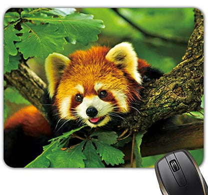 Cute red Panda Forest Animal Mouse Pad Mat Mousepad 8.6 X 7.1 in - color: Cute red Panda Forest