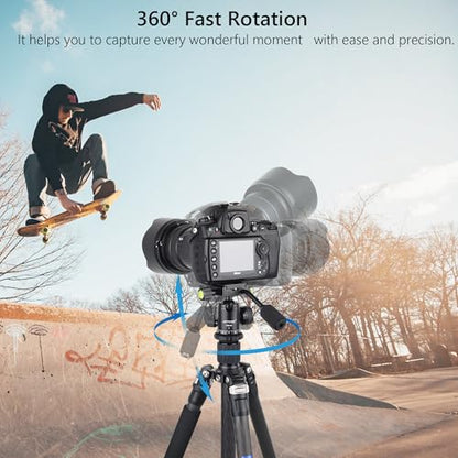 Ball Head with Handle ARTCISE Camera Tripod Ball Head with Two Quick Release Plates and Phone Clip for Monopod, 360 Degree Panoramic Head for Tripod, Monopod, Slider, DSLR Camera，Max Load 22lb/10kg