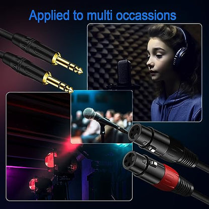 LanSenSu XLR to 1/4 TRS Stereo Adapter - XLR Female to 1/4 Inch (6.35mm) Microphone Audio Converter Cable (2Pack, 10ft) - size: 6.35mm to XLR Female-10ft