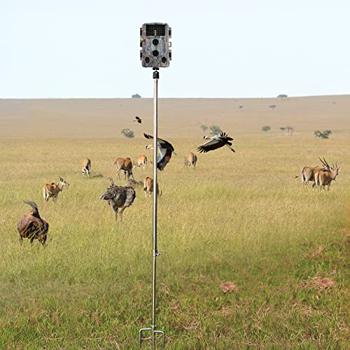 Game & Trail Camera Mount, Thickened Collapsible Multifunctional Stainless Steel Bracket, 360° Adjustable Universal Screw Connection 1/4''-20 (6mm), for Hunting Cameras, Solar Panels, etc. - color: 1 Pack