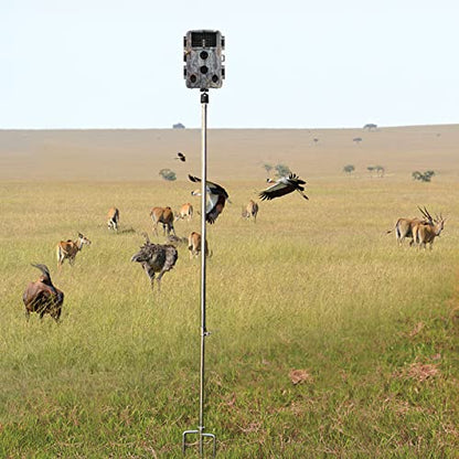 Game & Trail Camera Mount, Thickened Collapsible Multifunctional Stainless Steel Bracket, 360° Adjustable Universal Screw Connection 1/4''-20 (6mm), for Hunting Cameras, Solar Panels, etc. - color: 1 Pack
