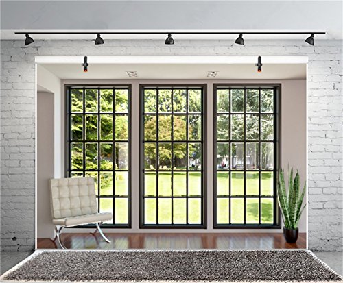 AOFOTO 8x6ft Business Office French Sash Window Backdrop Living Room Sofa Plant Photography Background Interior Casement Work at Home Modern Flat Furniture Apartment Decoration Residence Villa Props - size: 8x6ft