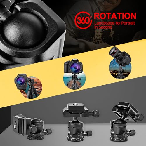 Zeadio Mini Ball Head, All Metal 360° Rotatable Panoramic Tripod Head with Arca Swiss Quick Release Plate, Compact Camera Mount for DSLR Cameras, Monopod, Tripod, Vlogging etc - style: Arca Version