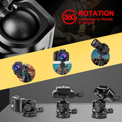 Zeadio Mini Ball Head, All Metal 360° Rotatable Panoramic Tripod Head with Arca Swiss Quick Release Plate, Compact Camera Mount for DSLR Cameras, Monopod, Tripod, Vlogging etc - style: Arca Version