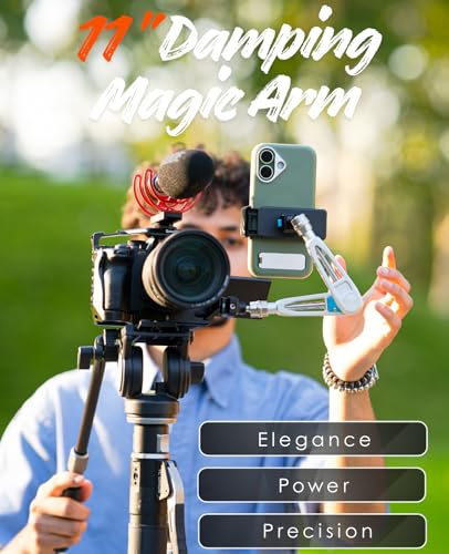DF DIGITALFOTO 11" Magic Arm with F22 Quick Release, Elegant Strength Magic Arm with 1/4" 3/8" Thread Screw 360° Ball Heads for Monitor,Flash,Light,Camera Cage,Max Load Capacity 5kg (Glacier Silver) - color: Glacier Silver