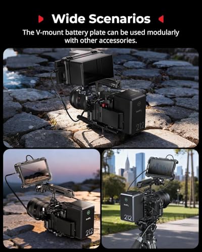 SMALLRIG V Mount Battery Plate with LCD Screen Protector, D-Tap & USB-C Supply, Compact Camera Video Rig for Mirrorless/DSLR, for NEEWER V Mount Battery PS099E - style: Plate