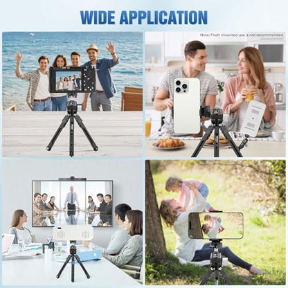 LEOFOTO 9.84" Aluminum Table Tripod with Ball Head for Camera, 360° Rotation Desktop Tripod with 1/4" Screw for Phone Adaptor/Projector/Sport Camera, Max Load 11lb - size: MT-03S with Ball Head